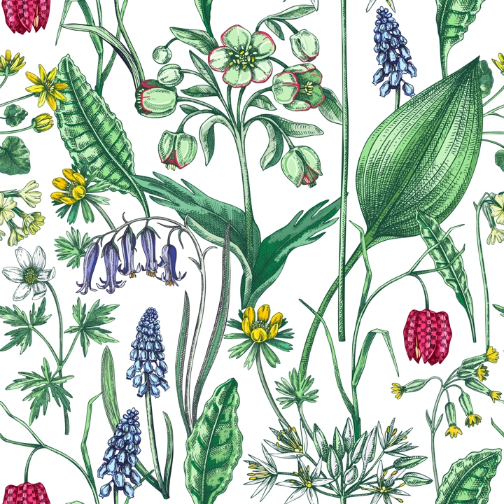 Spring flowers seamless pattern. Wildflowers background. Forest plant, greenery, wild flowers sketches. Hand drawn vector illustration. Not AI-generated